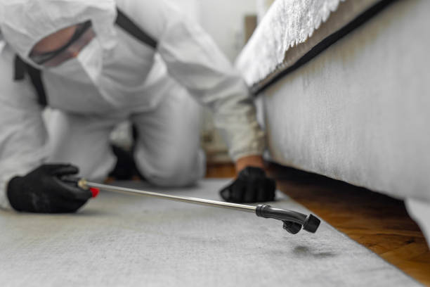 Professional Bed Bug Control technician working in Orion, IL